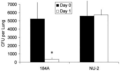 FIG. 1