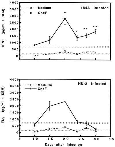 FIG. 7