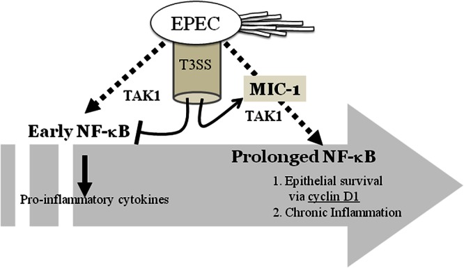 Fig 8