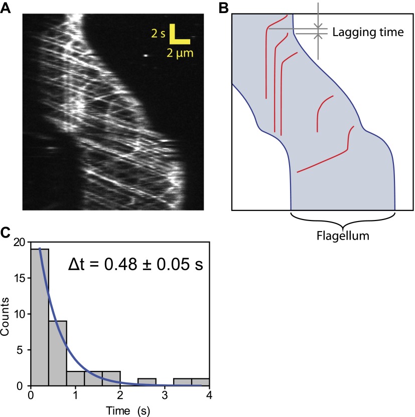 Figure 2—figure supplement 3.