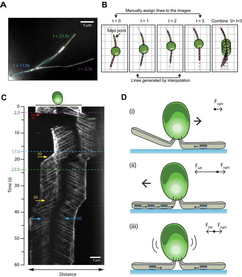 Figure 4.