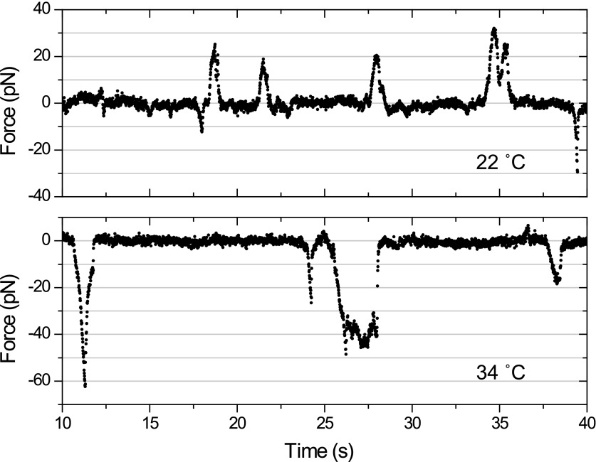 Figure 6—figure supplement 3.