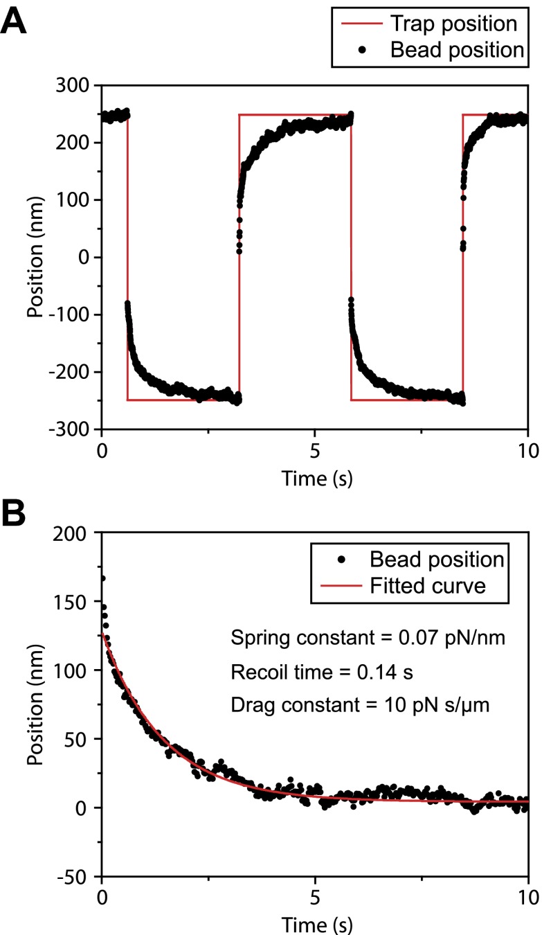 Figure 7—figure supplement 1.