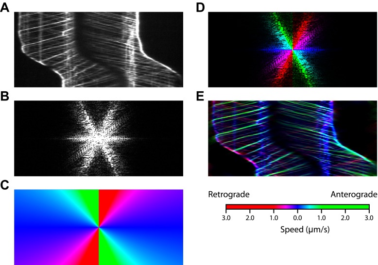 Figure 2—figure supplement 2.