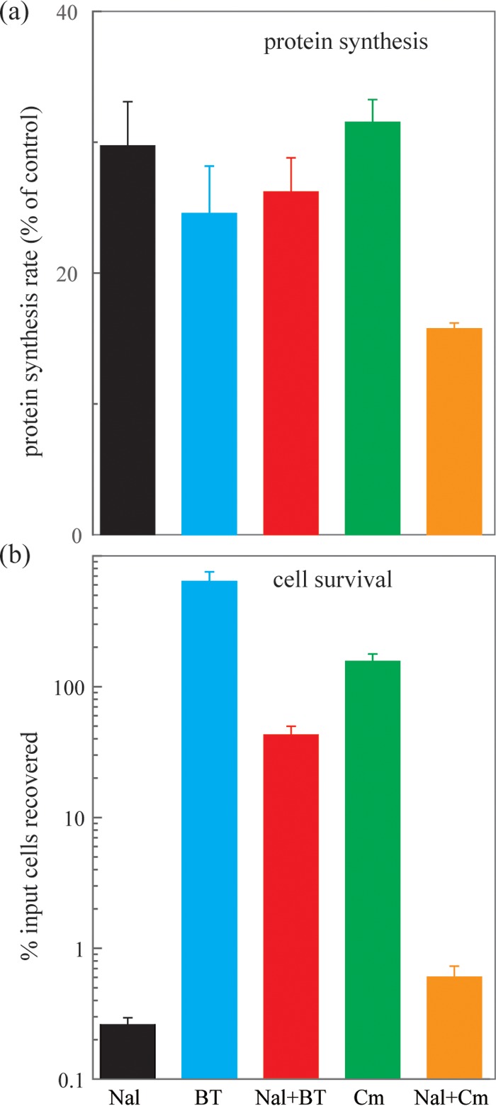 FIG 6