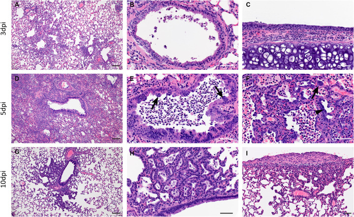 Figure 4: