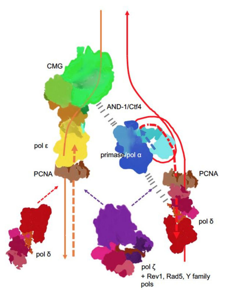 Figure 4