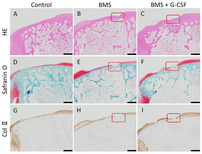 Figure 7.