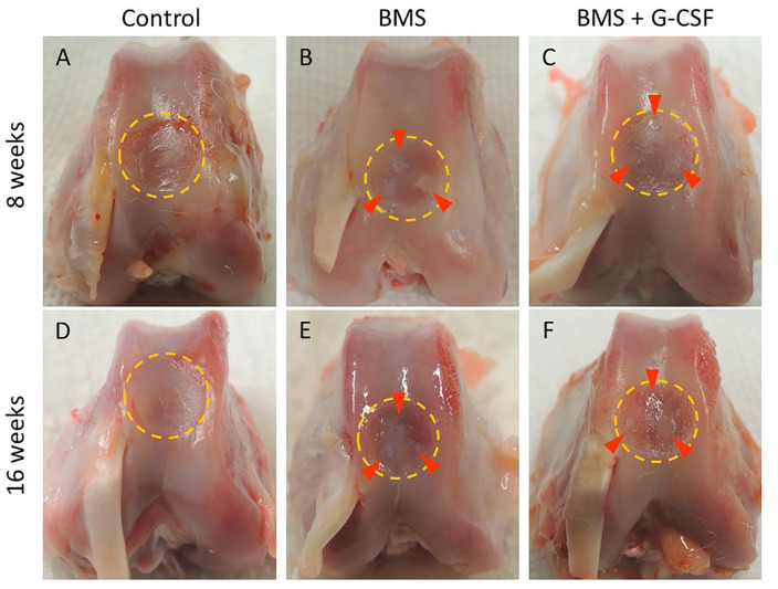 Figure 3.