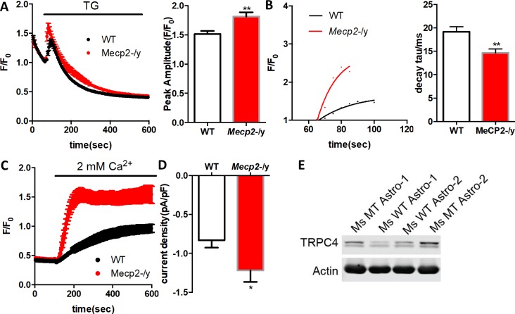 Figure 6—figure supplement 5.