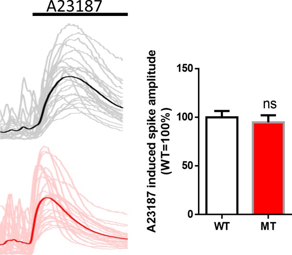 Figure 1—figure supplement 2.