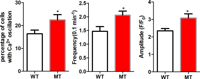 Figure 6—figure supplement 1.