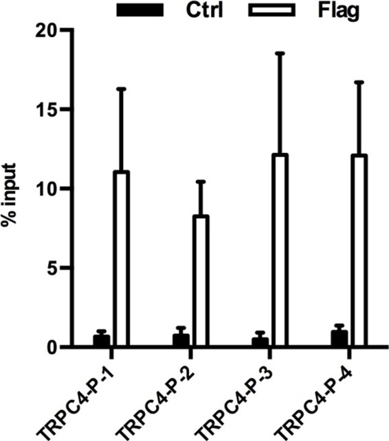 Figure 6—figure supplement 3.