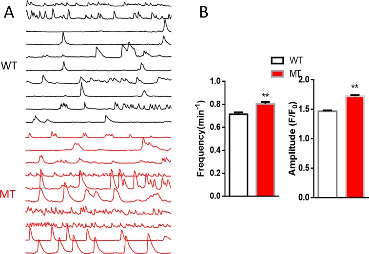 Figure 1—figure supplement 3.