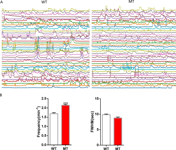 Figure 5—figure supplement 2.