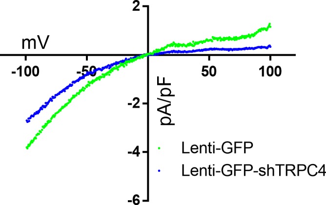 Figure 6—figure supplement 4.