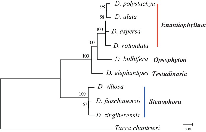 Figure 6