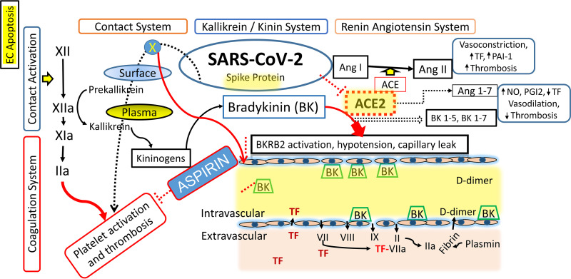 FIG 6