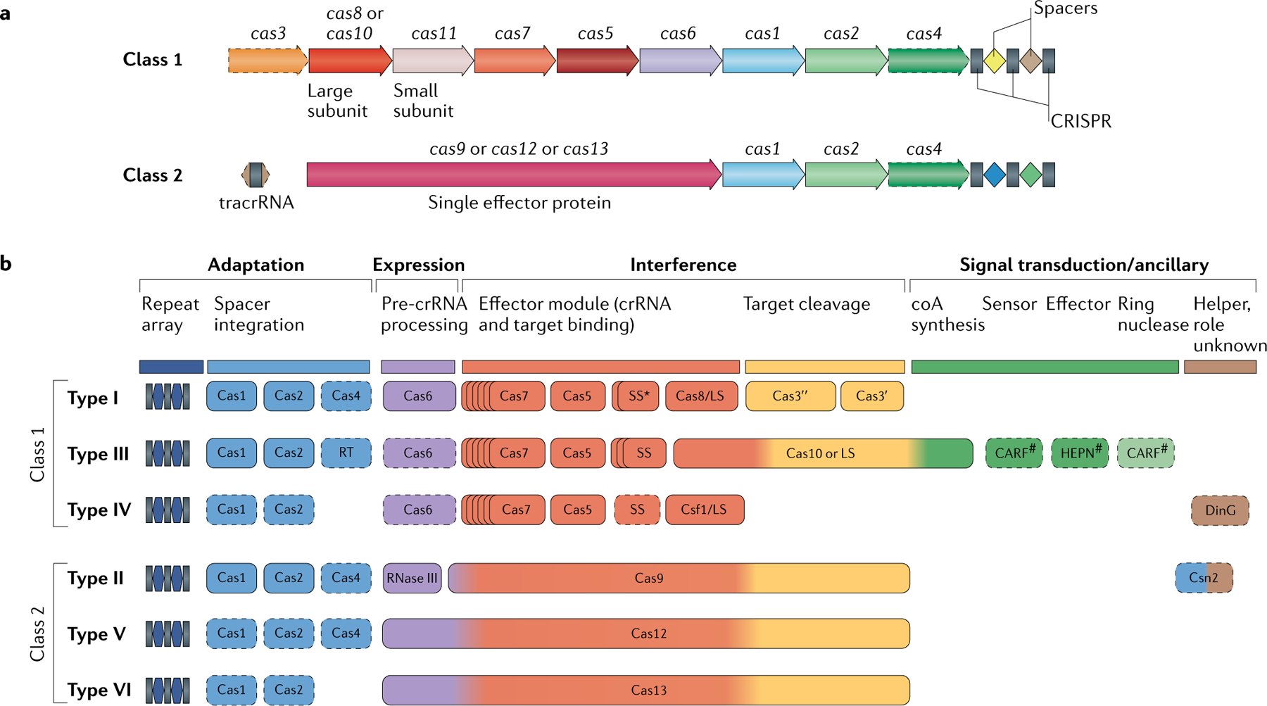 graphic file with name nihms-1777718-f0006.jpg