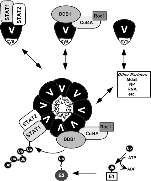 FIG. 6.