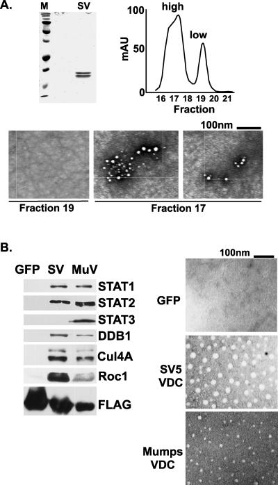 FIG. 5.