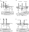 Fig. (2)