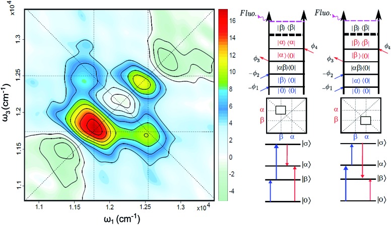 Fig. 3