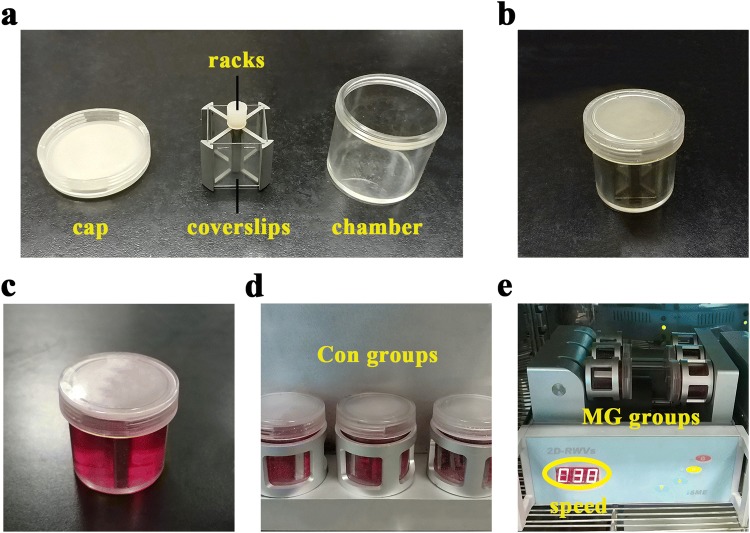 Fig. 1