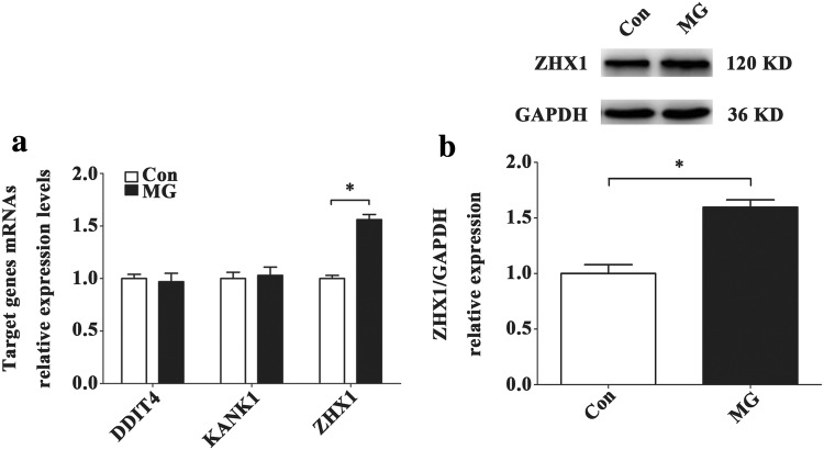 Fig. 7