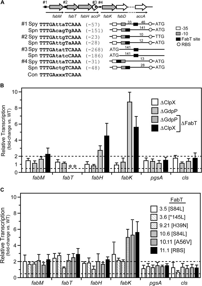 FIG 3