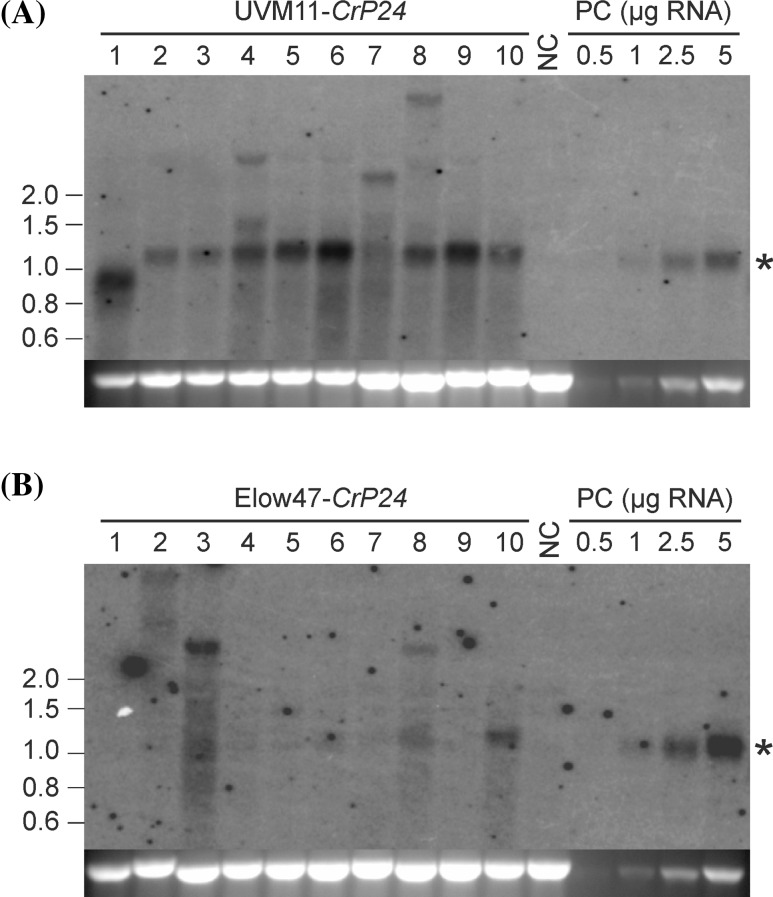 Fig. 2