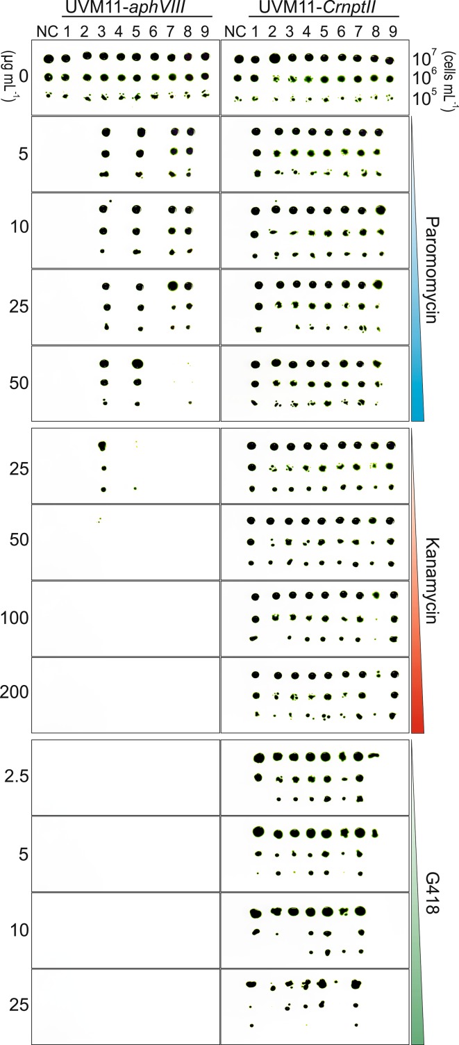 Fig. 9