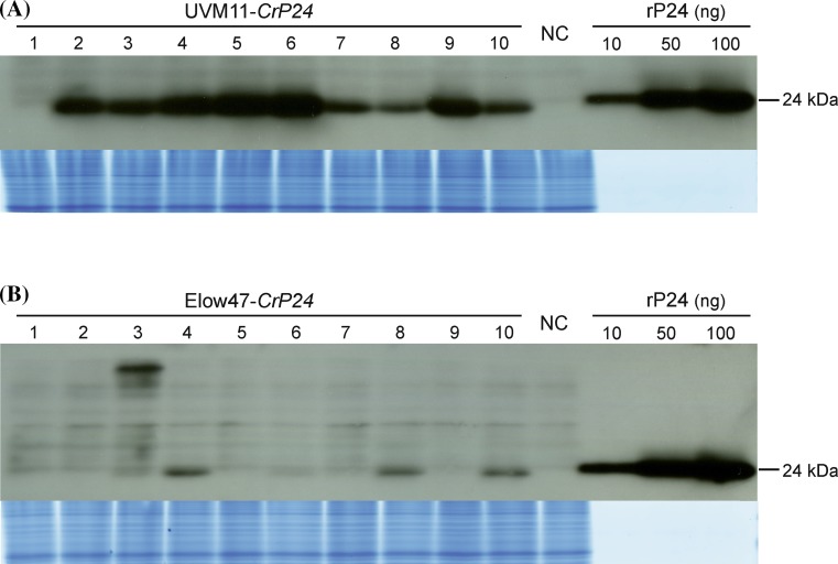 Fig. 3