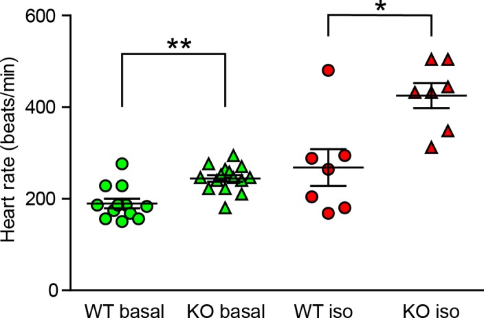 Figure 7—figure supplement 3.