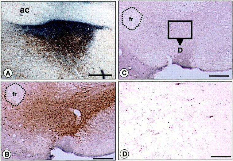 Fig. 12.