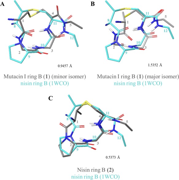 Figure 10