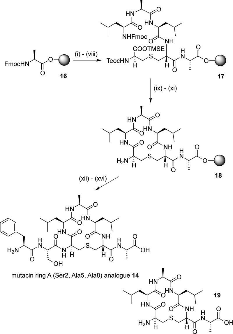 Scheme 3