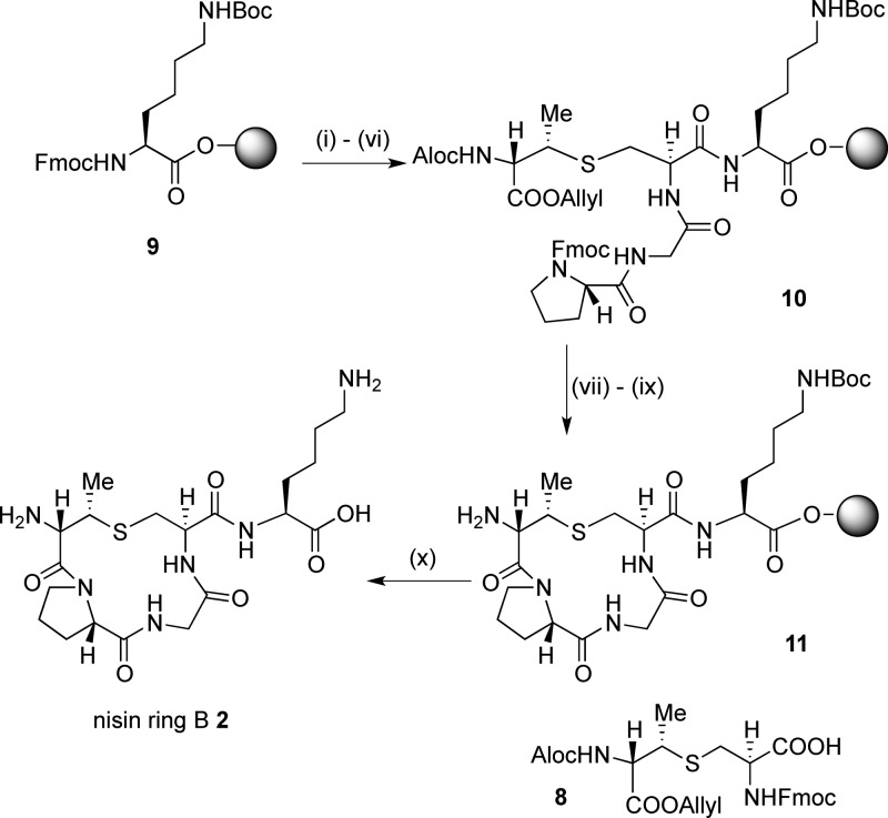 Scheme 2