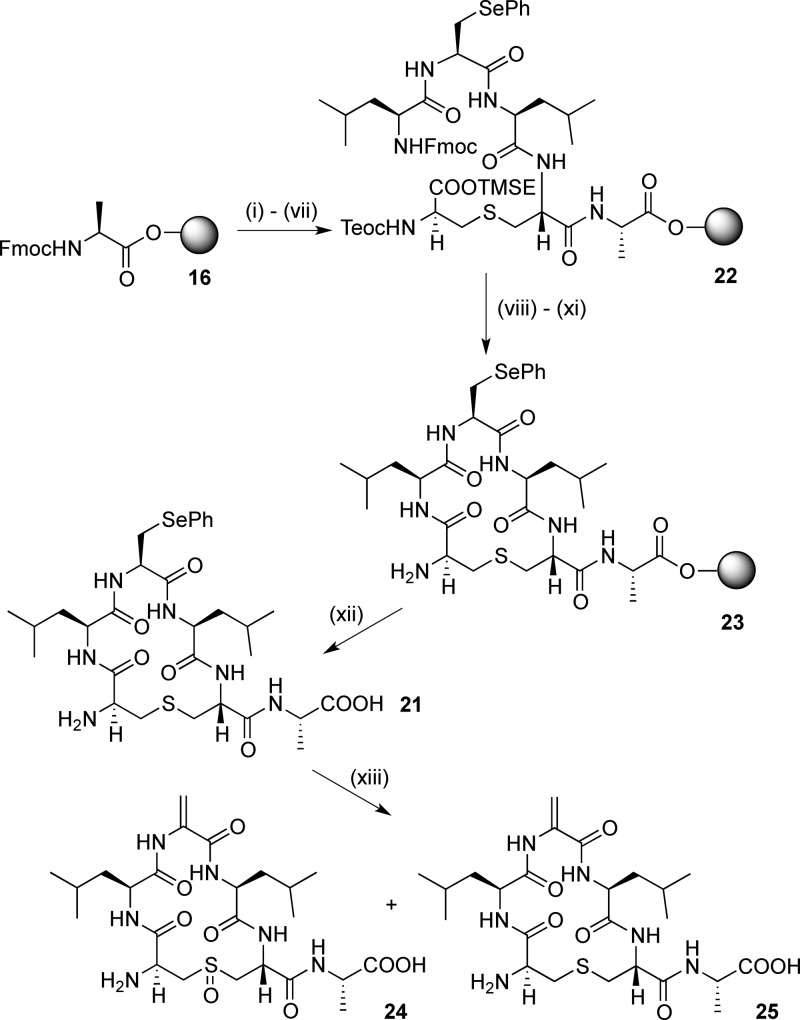 Scheme 4