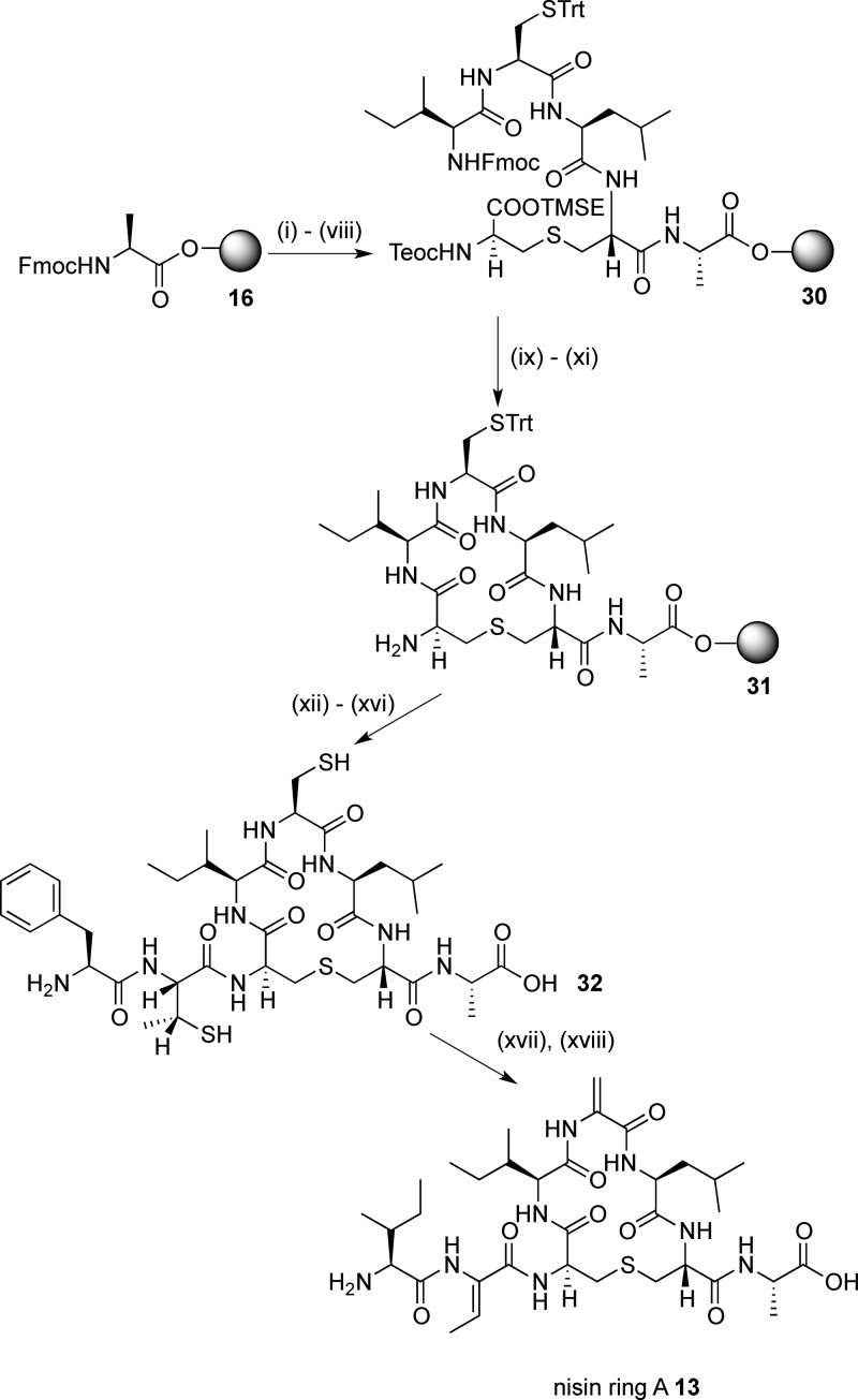 Scheme 6