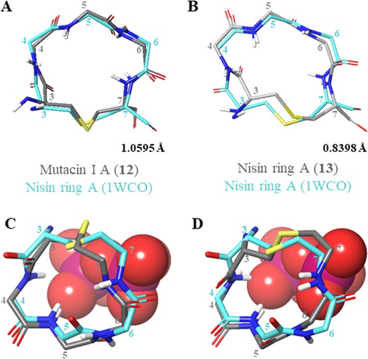 Figure 11