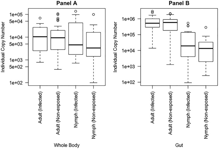 FIG 2