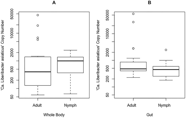 FIG 1