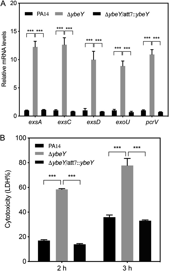 FIG 1