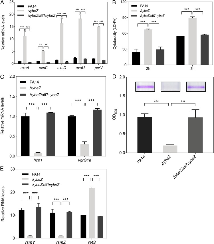 FIG 6