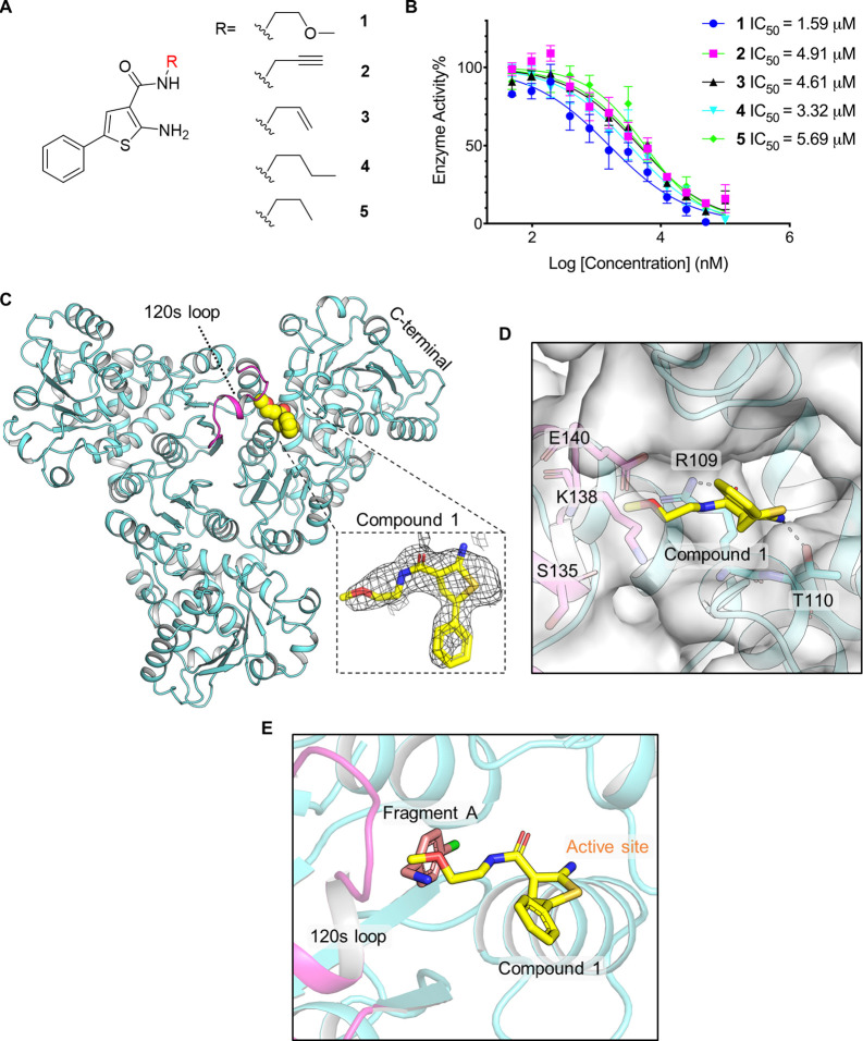 Figure 2