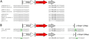 FIG 3