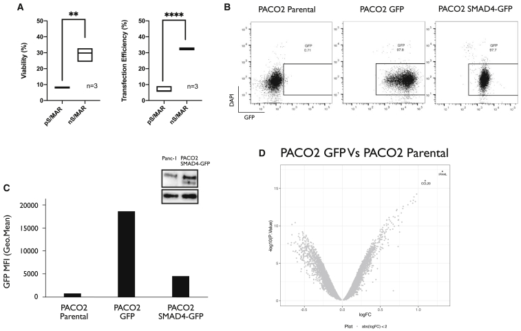 Figure 4