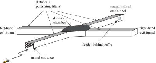 Figure 1.