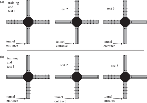 Figure 2.